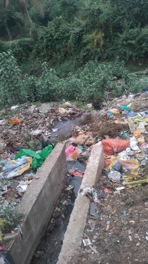 जीवनदायिनी नदियाँ संकट में: आमनेर, पिपरिया और मुस्का में लगातार गिर रही गंदी नालियों की धार