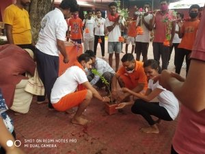 Plantation: पहले Kairagarh के शिवालयों में नर्मदा जल से किया अभिषेक, फिर मंदिर-मस्जिद में लगाए फलदार पौधे