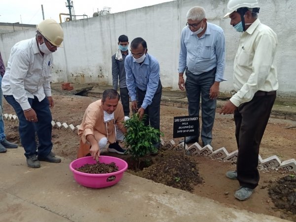 बीईसी फर्टिलाइजर्स में विधायक के नेतृत्व में किया गया पौधरोपण