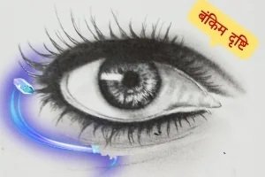 जनपद सभा और अदृश्य अधिकारी...
