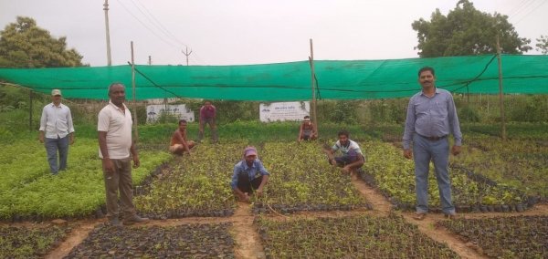 गोपालपुर नर्सरी से रोपण के लिए मिलेंगें निशुल्क पौधे